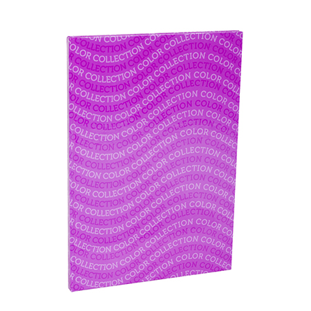 Imiteks sveska A5 dikto 96L COLOR COLLECTION