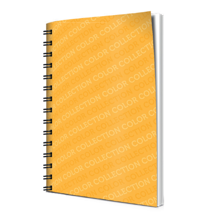 Sveska spirala A4 dikto 60 l COLOR COLLECTION