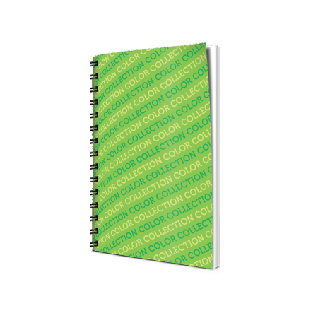 Sveska spirala A5 SK 100 l COLOR COLLECTION
